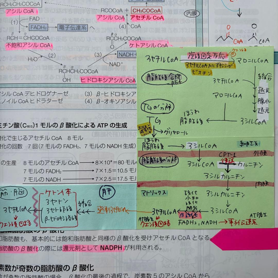 第111回 青本・青問 全巻セット