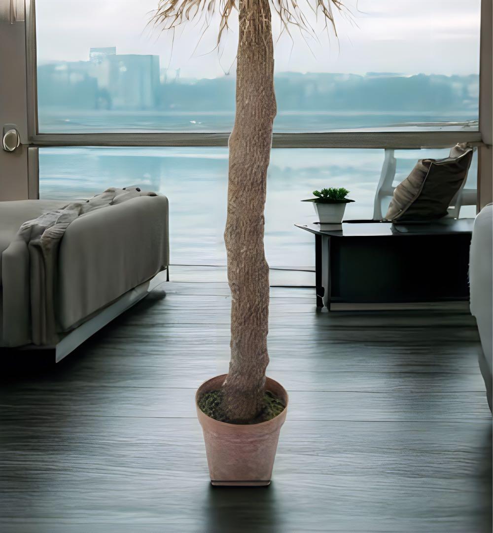 光触媒　人工観葉植物　ウォールグリーン　フェイクグリーン　ユッカロストラータ
