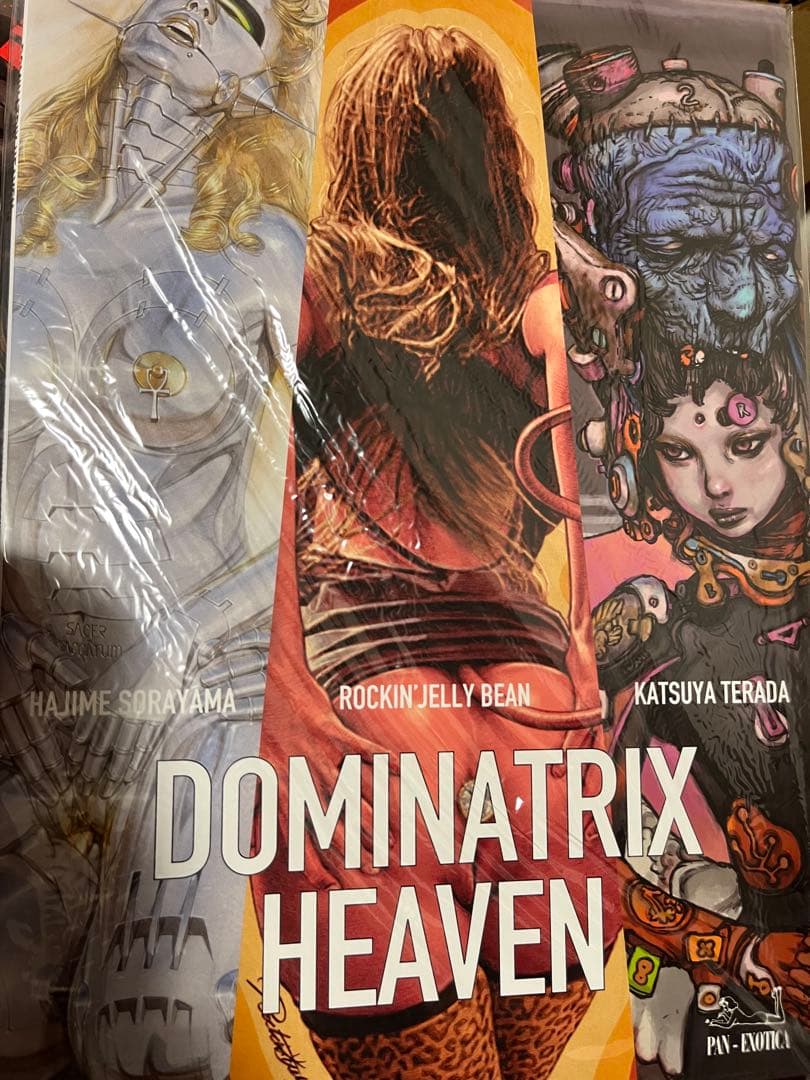 寺田克也 4冊まとめ売りDOMINATRIX HEAVEN アートブック
