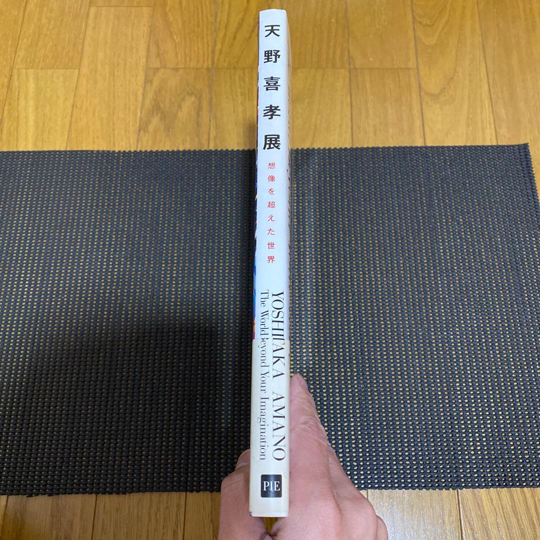 天野喜孝　天野喜孝展　想像を超えた世界 イラスト集　帯・売り上げカード付き