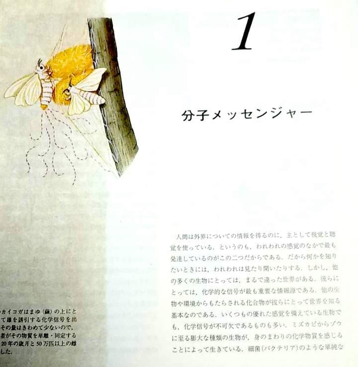 ★稀少大型本★フェロモンの謎～生物のコミュニケーション (SAライブラリー)
