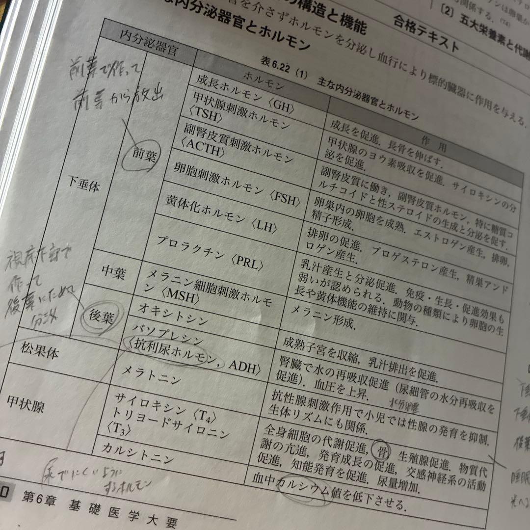 【セール中】2025 診療放射線技師 国家試験セット