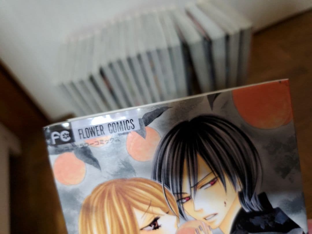 漫画 BLACK BIRD 全18巻