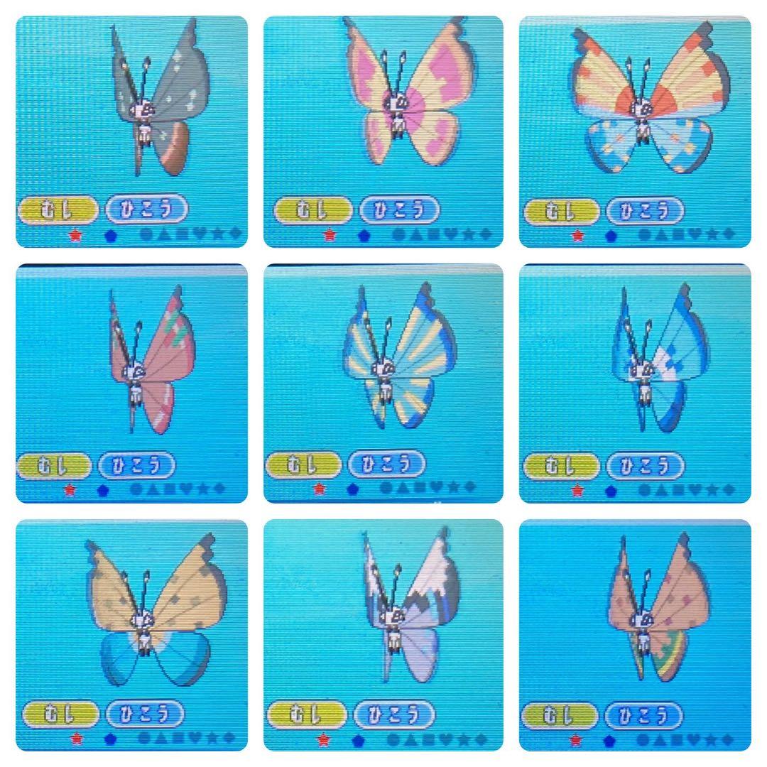 ポケモン サン 色カントー3鳥 3~7世代リボンコンプ 配信多数有り 141