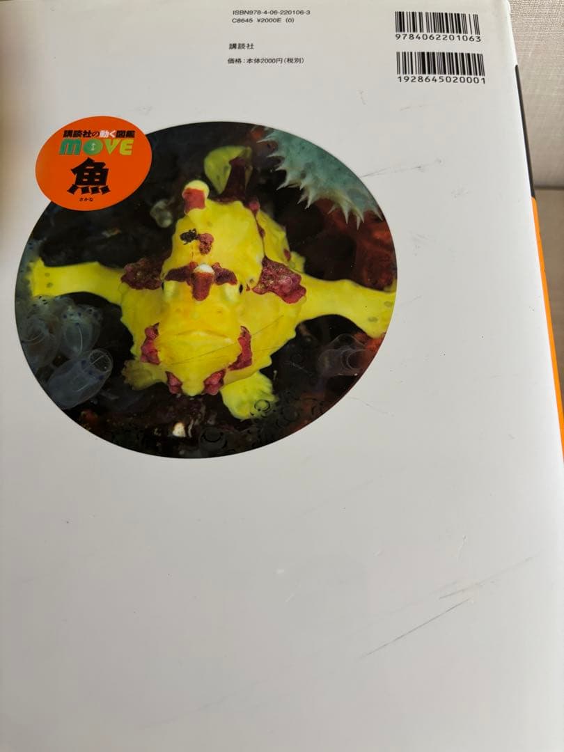 図鑑　MOVE 14巻 DVD付き