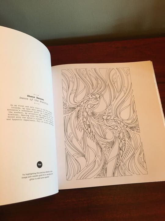 new zealand's colouring book  塗り絵