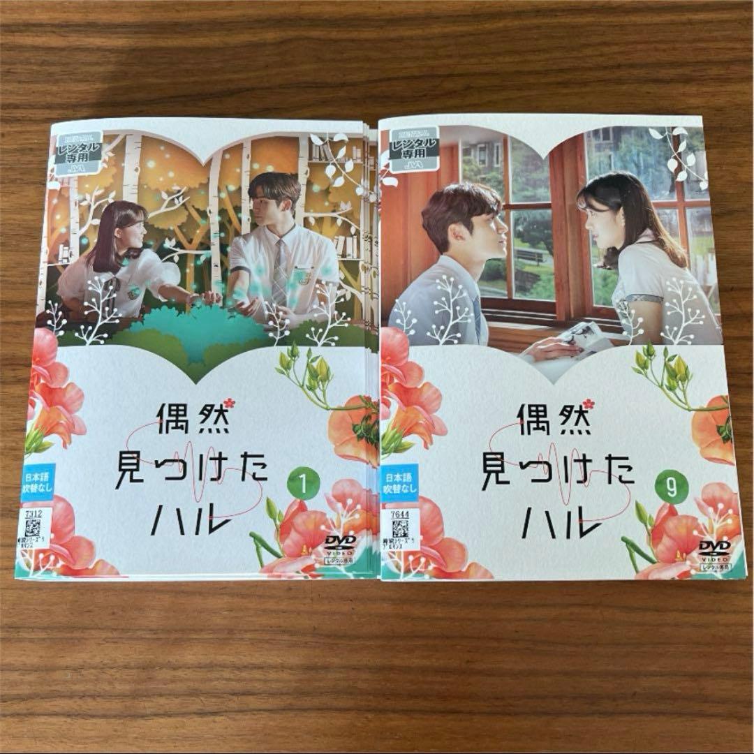 偶然見つけたハル DVD 全16巻　全巻セット　韓国ドラマ