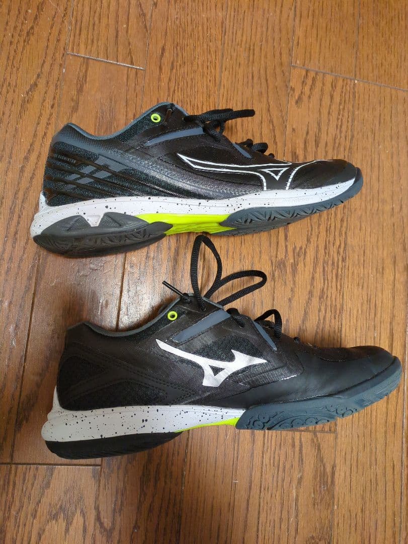 MIZUNO　バドミントンシューズ 25センチ