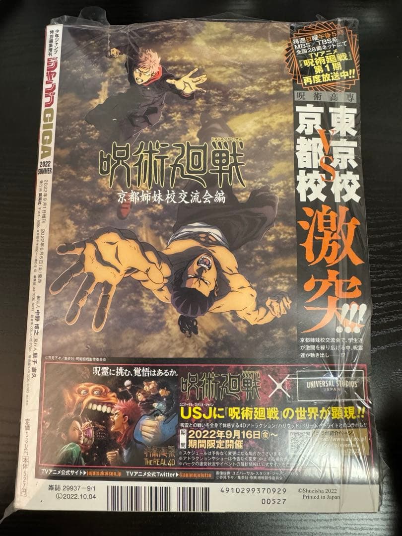 ジャンプメガ 2022 summer ワンピース