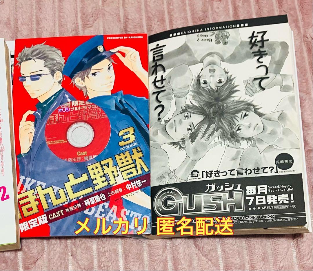 ほんと野獣 明日はどっちだ！ 他 山本小鉄子先生まとめ売り 非売品ポストカード付