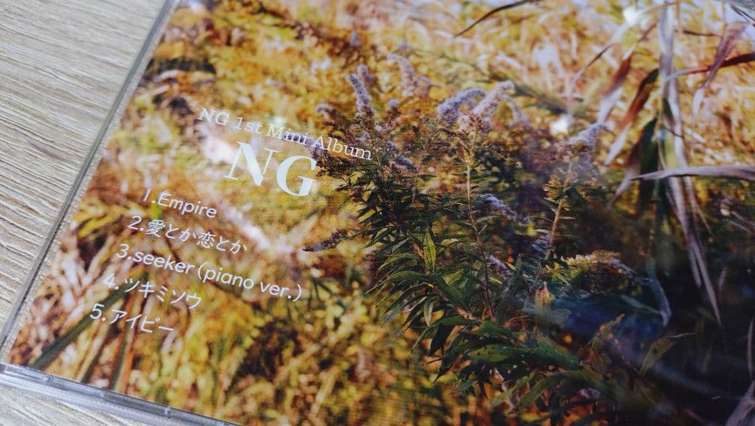 Novelbrightねぎ BIRTHDAY GOODS 2025 DVD/CD
