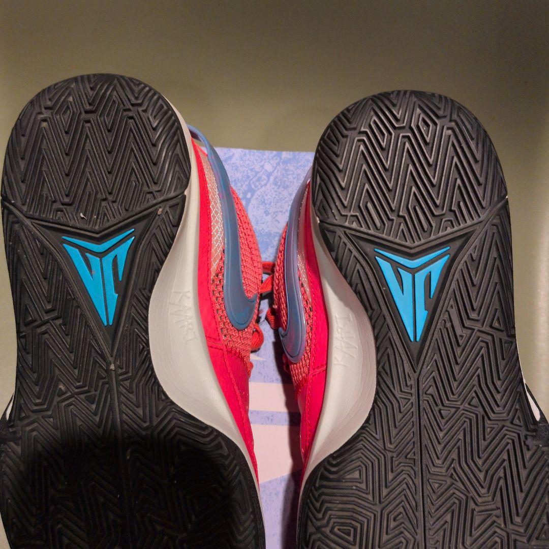 Nike JＡ 1 EP25.5