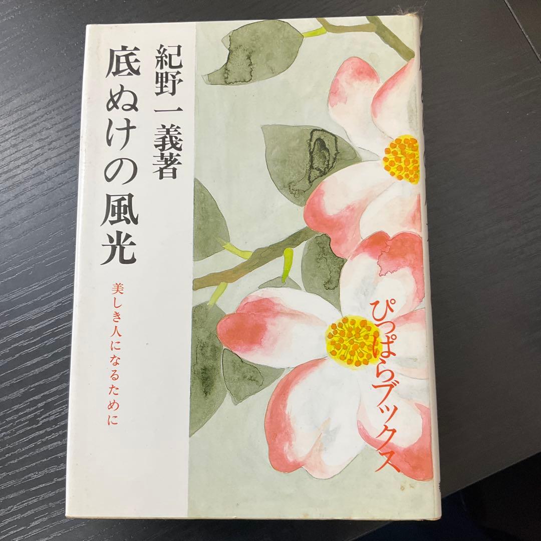 底ぬけの風光　紀野一義　善本社