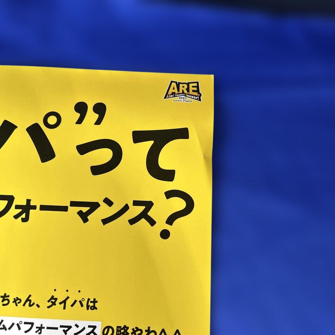 【貴重・未使用】阪神タイガース ミエちゃん　阪神×日清 パネル/ポスター