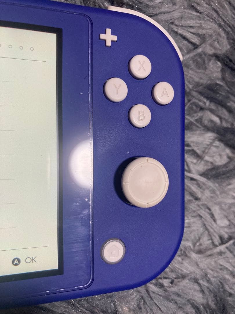 Switchライト 箱など付属品無し 本体のみ ソフト3点セット