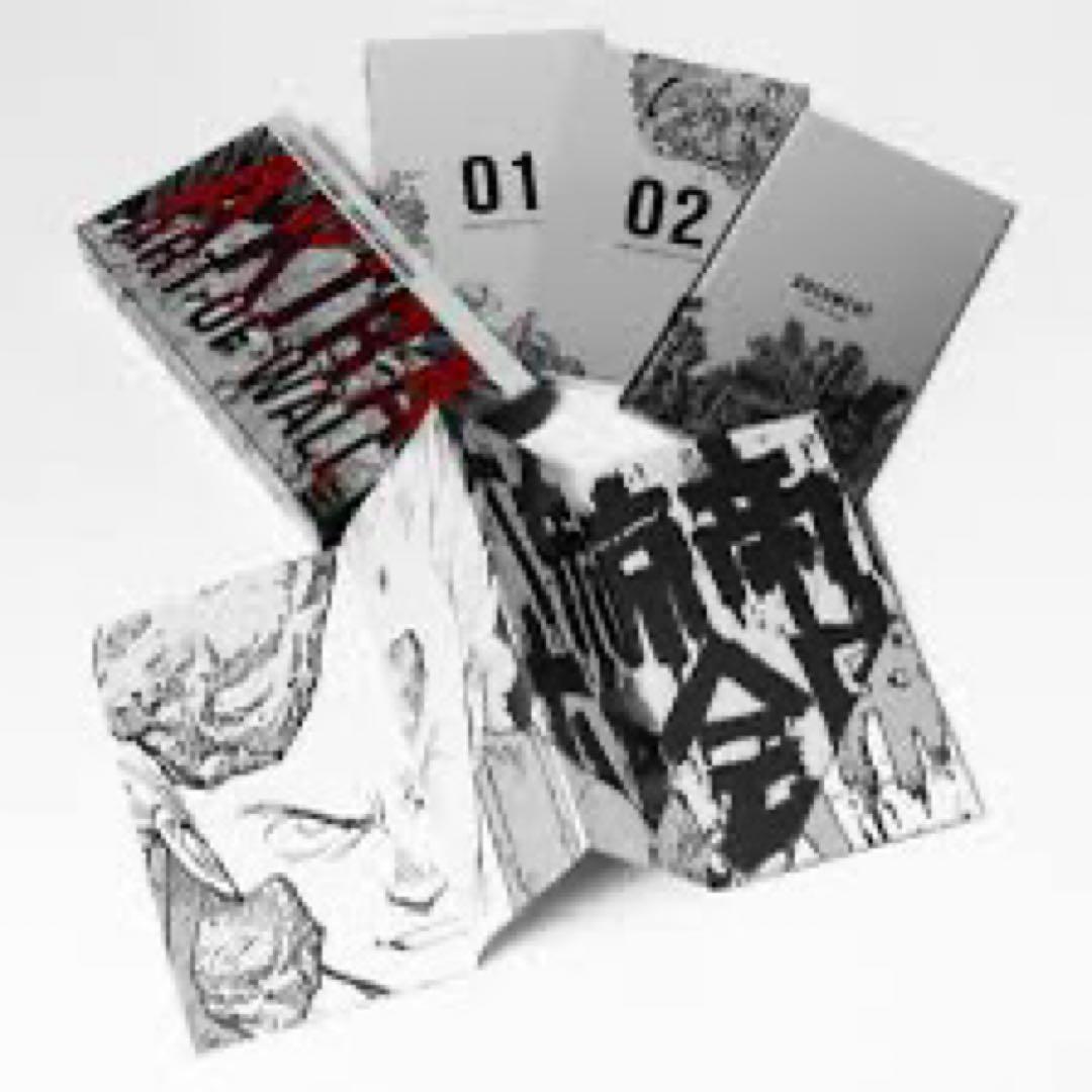 【新品未開封】アキラAKIRA ART OF WALL SPECIAL BOOK