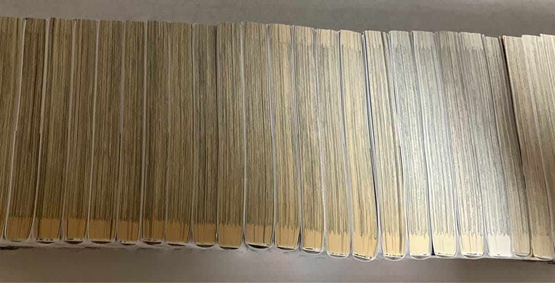 文豪ストレイドッグス 既刊 全巻セット 他 関連本 セット