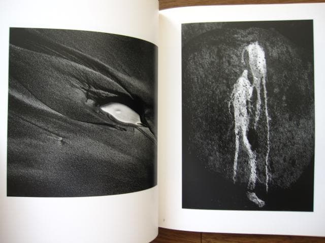In the Nature of Things　Jack Stuler