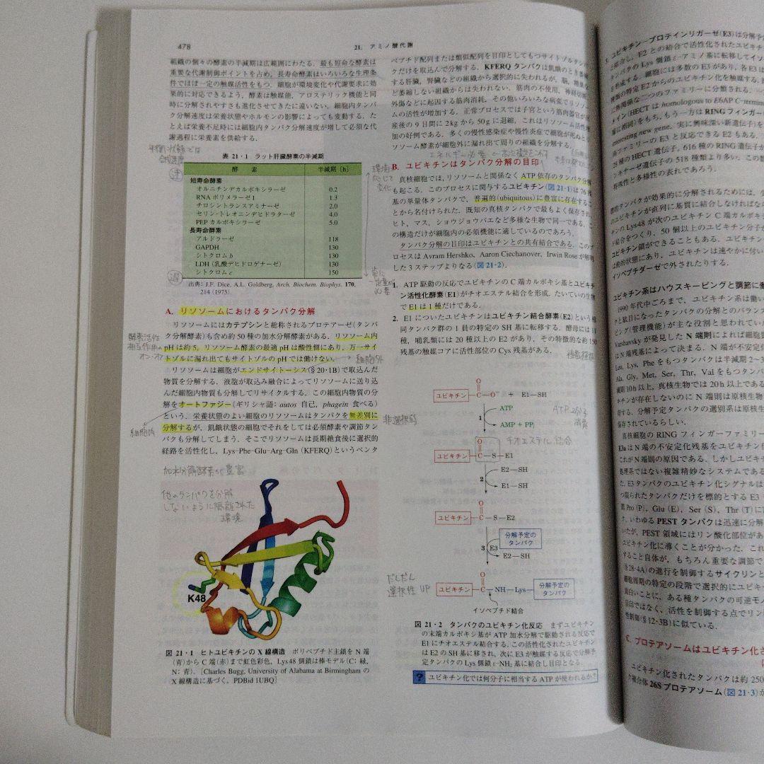 ヴォート基礎生化学 第5版 東京化学同人 ケース付き