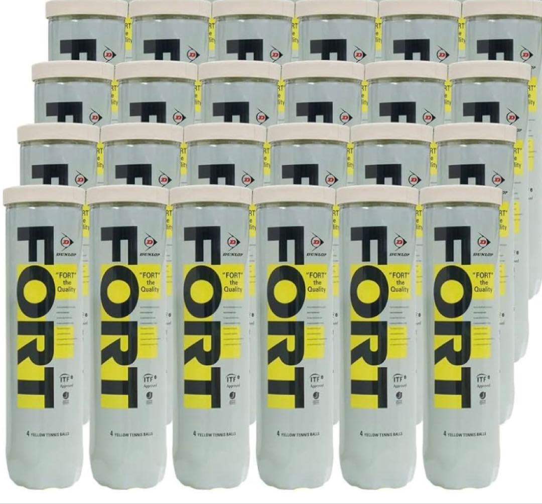Dunlop Fort ダンロップフォート テニスボール 4球入り24缶セット