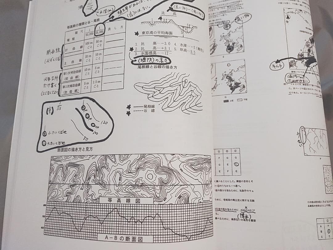 駿台　岡田先生　地理配布プリント　書き込み無し　河合塾　鉄緑会　SEG　東進