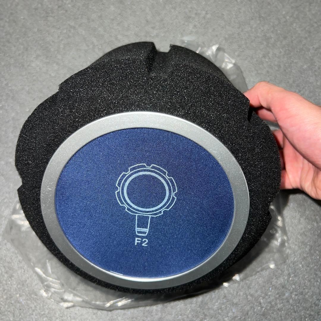 Blue Microphones Bluebird コンデンサーマイク