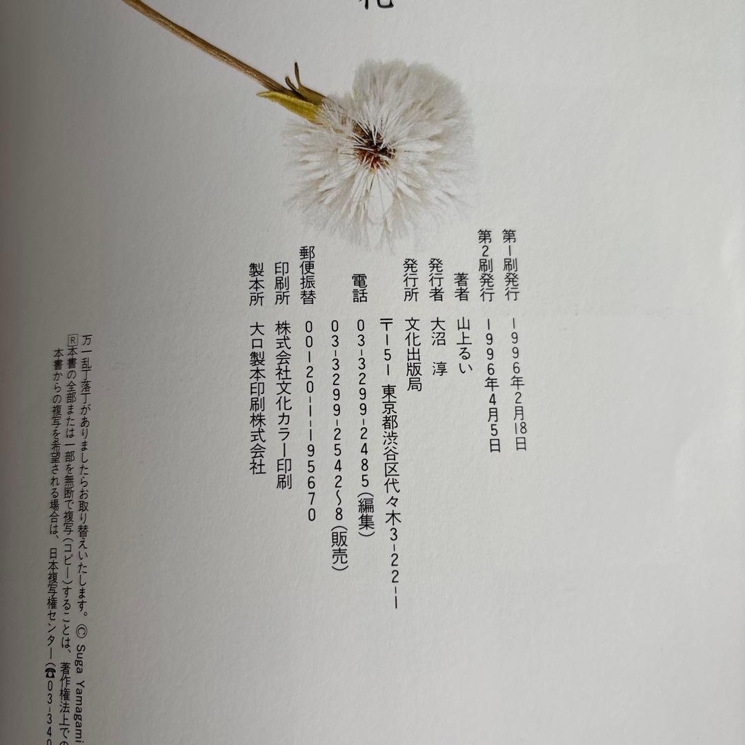 枯れていく花 布花 山上るい