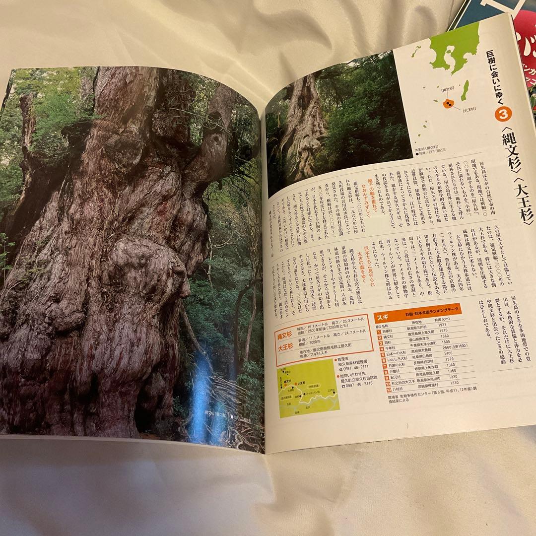 週刊 日本の樹木 25冊 学習研究社 （2004年発行）おまけ付き