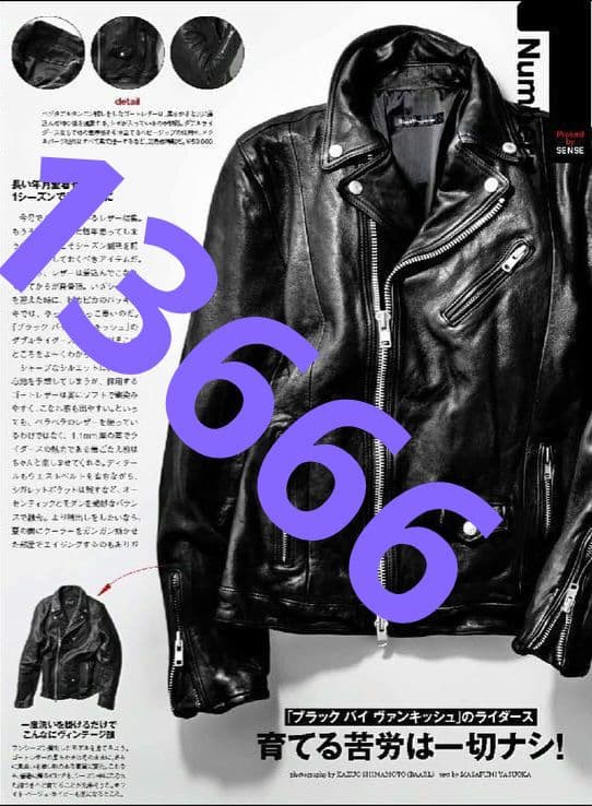 BVJ レザー 山羊 BACKLASH NOID SHELLAC AKM wjk