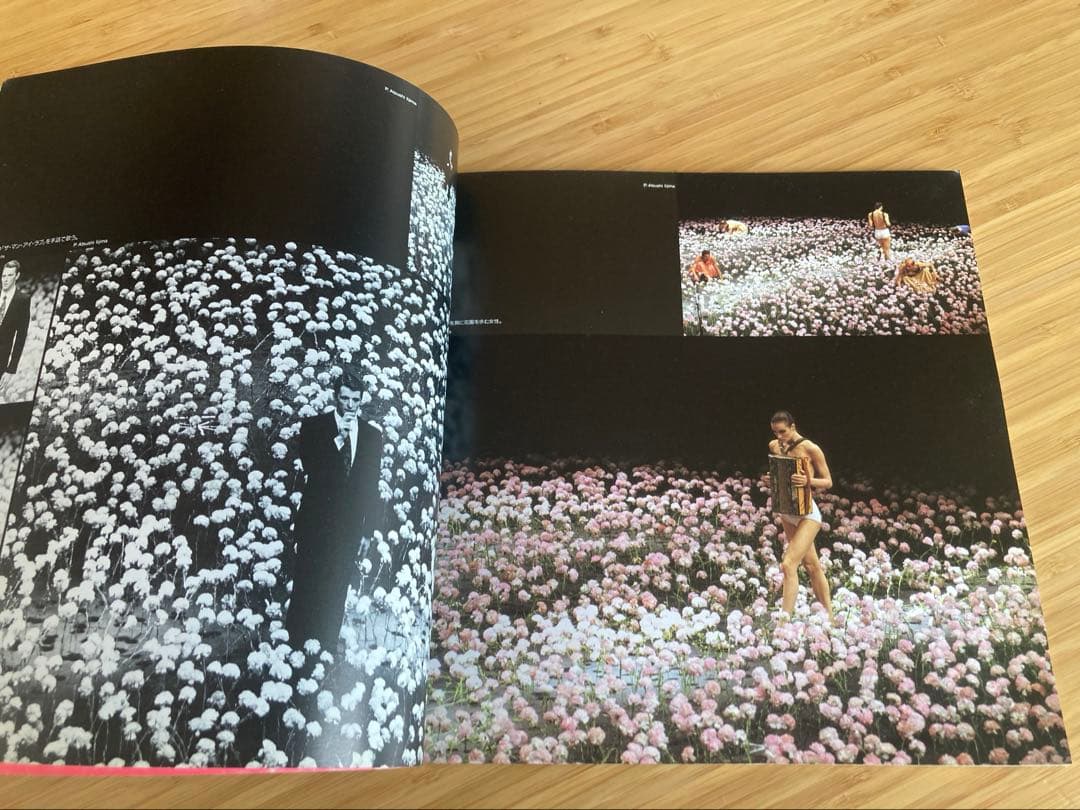 アート・デザイン・音楽 Pina Bausch Tanztheater Wuppertal