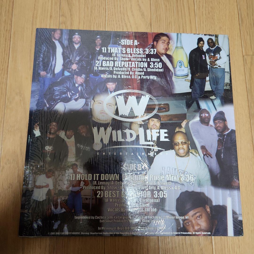 D.I.T.C. WILD LIFE 12インチレコード