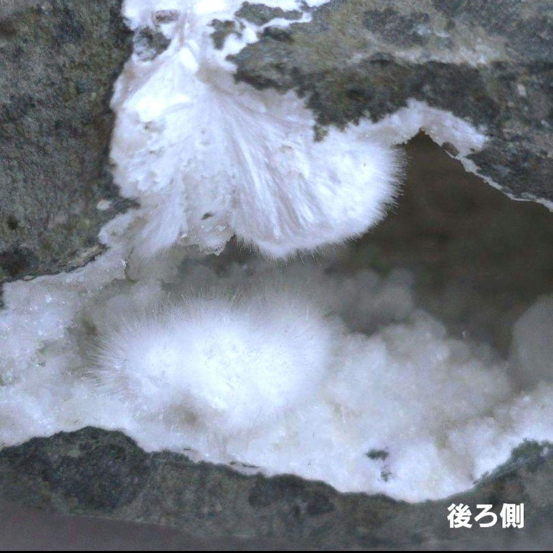 ❤︎モフモフで可愛い人気の❤︎オケナイト Okenite オーケン石