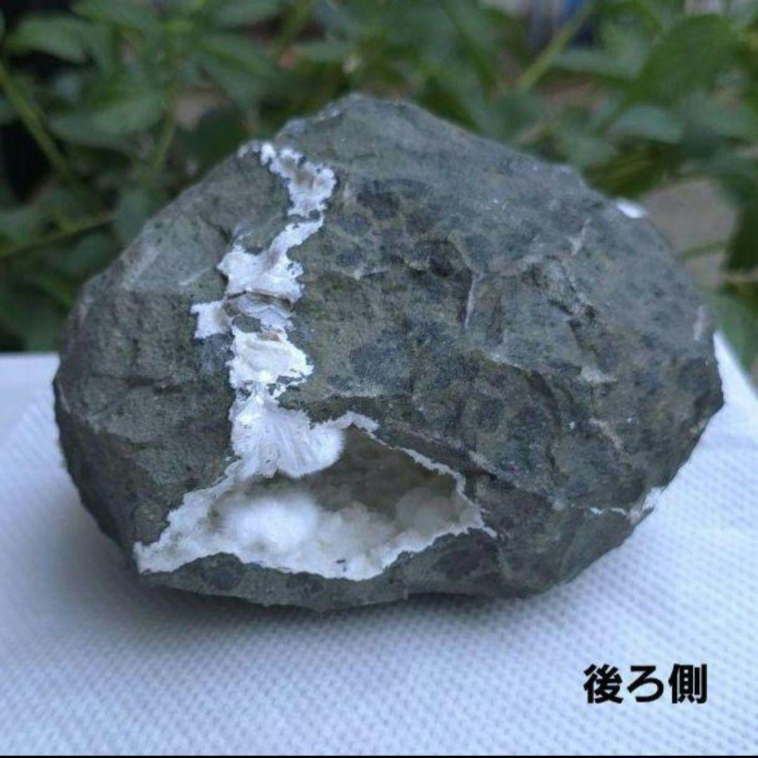 ❤︎モフモフで可愛い人気の❤︎オケナイト Okenite オーケン石