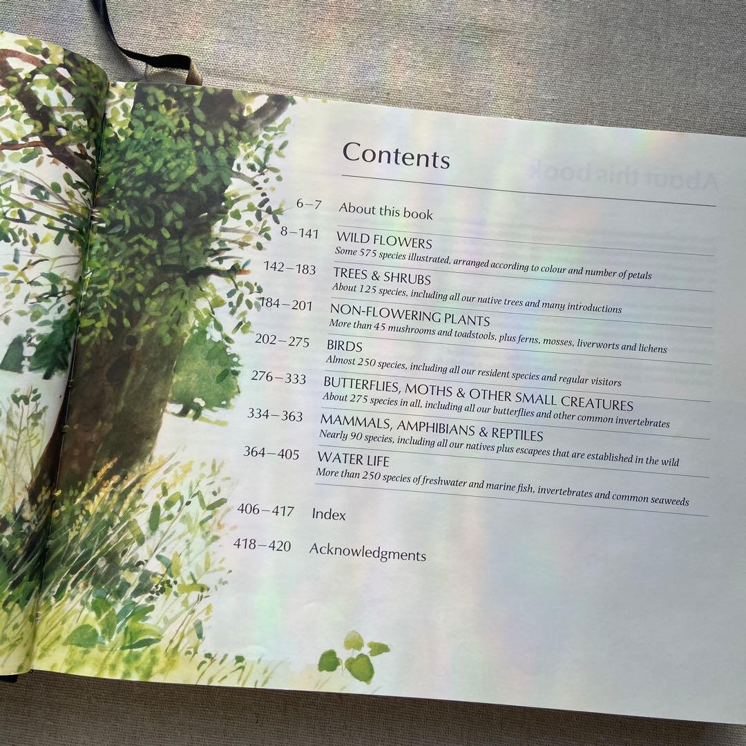 【ヴィンテージ洋書】植物図鑑　英語図鑑　アンティーク　古本　ジャンクジャーナル