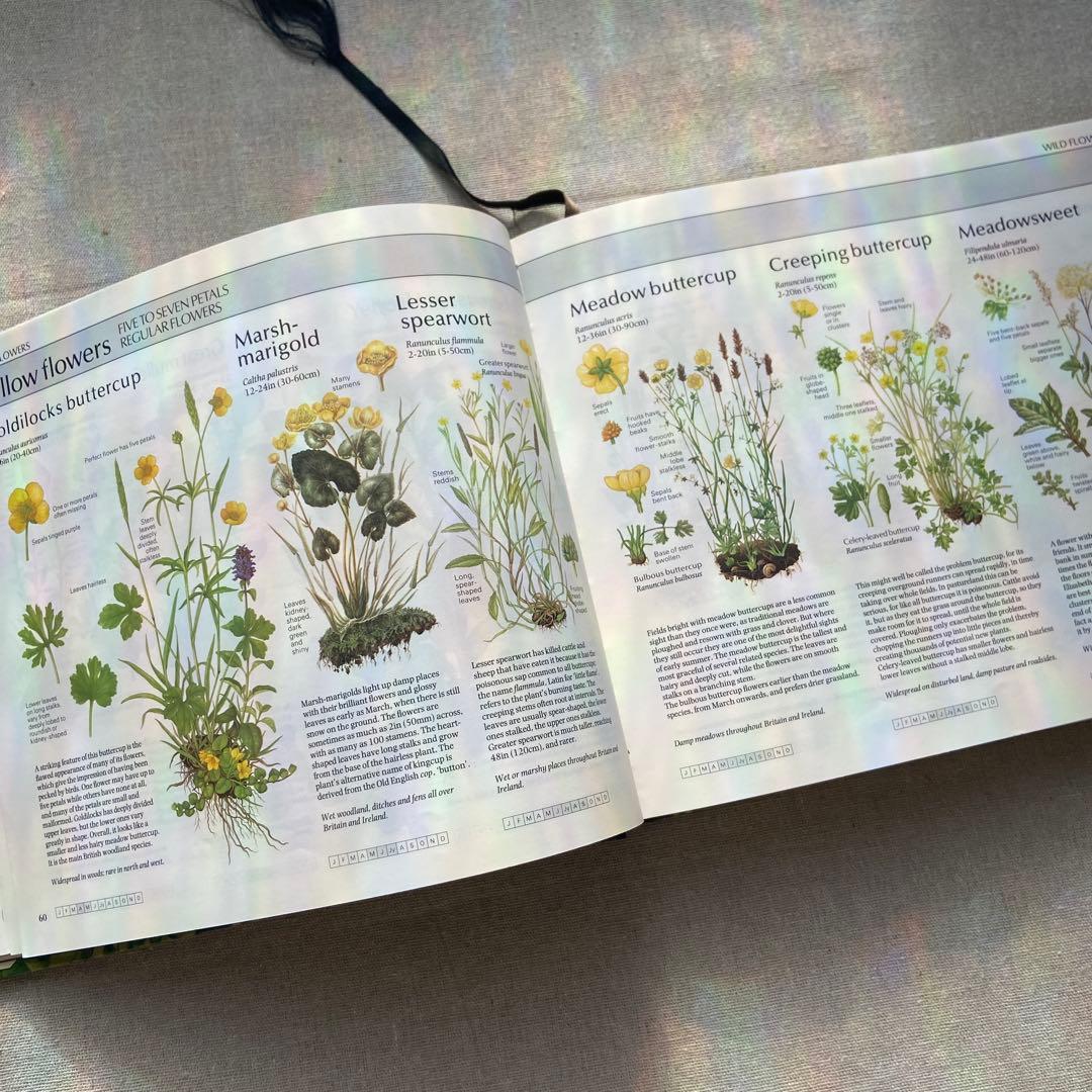 【ヴィンテージ洋書】植物図鑑　英語図鑑　アンティーク　古本　ジャンクジャーナル