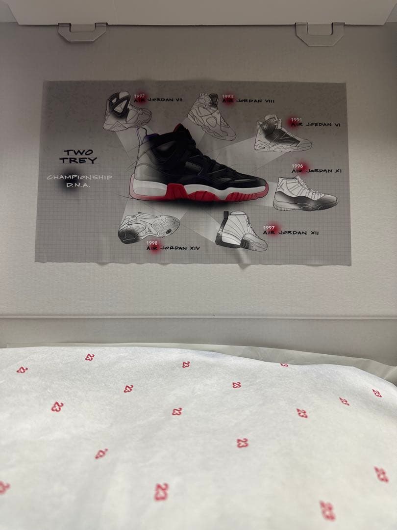 【新品未使用】JORDAN BRAND JUMP MAN TWO TREY