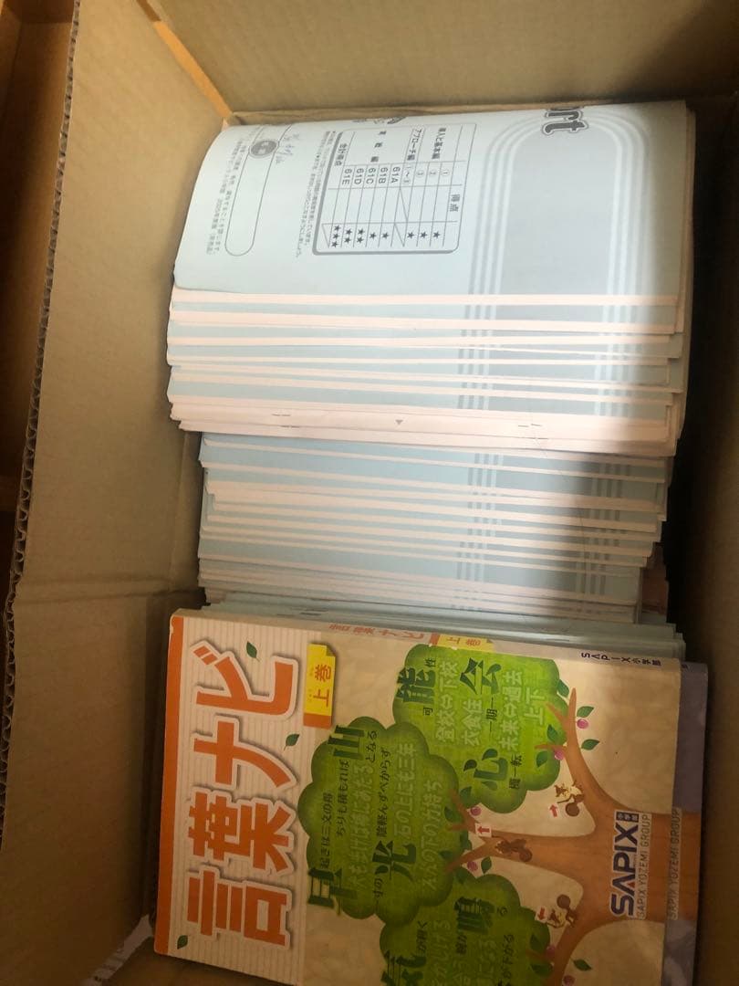 まゆ　SAPIX 2025年度　6年生　1年間分（1/3）