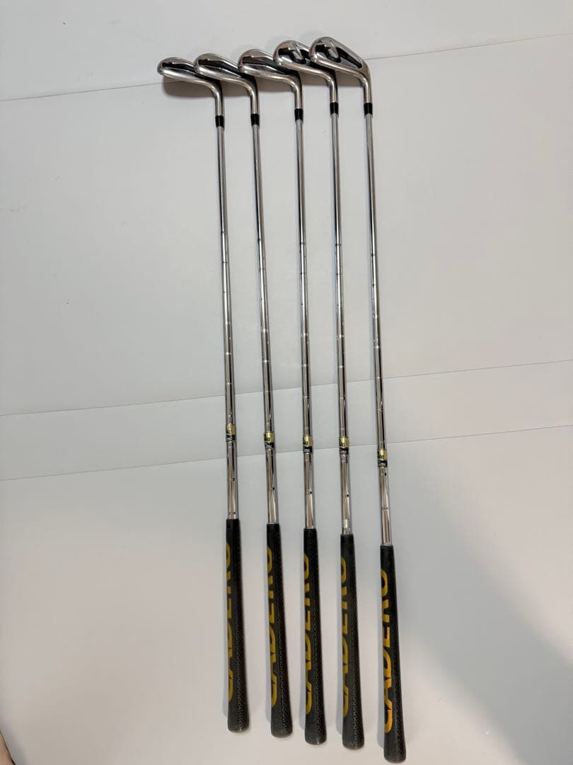 Titleist アイアンセット T300 5本 6〜P DG S200