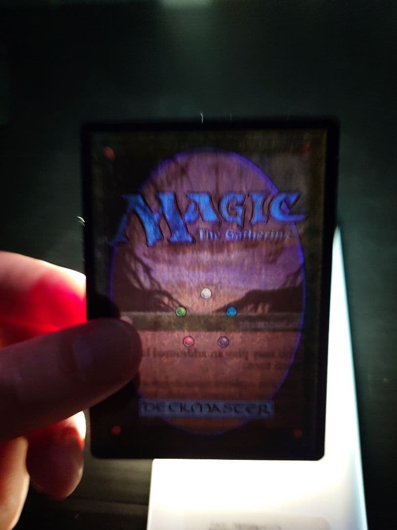 MTG マジックザギャザリング 踏査 英語版1枚