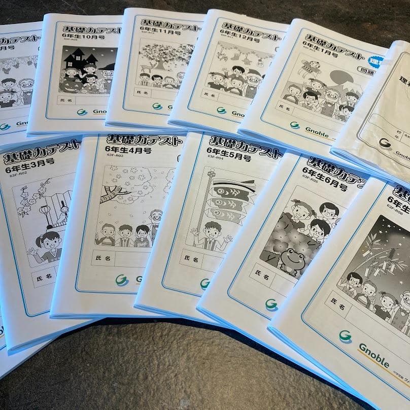 【超レア】グノーブル内部生用　6年理科基礎力テスト+理科・知識のまとめ全13冊