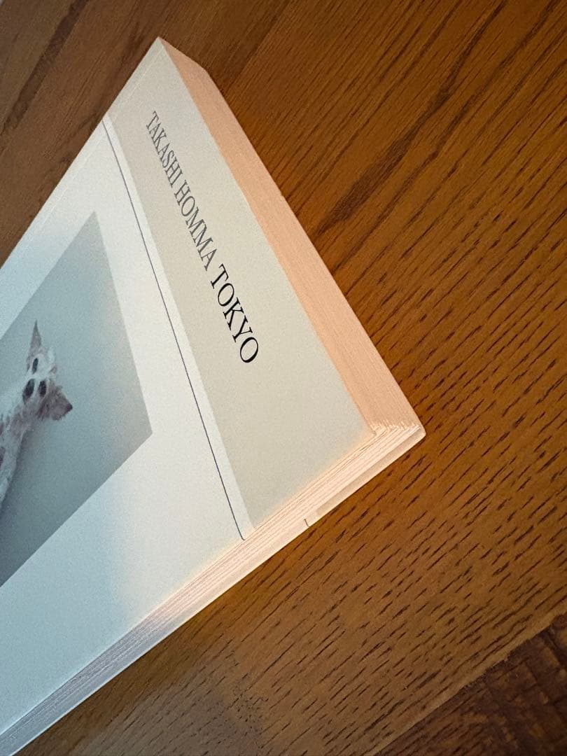 TAKASHI HOMMA TOKYO ホンマタカシ