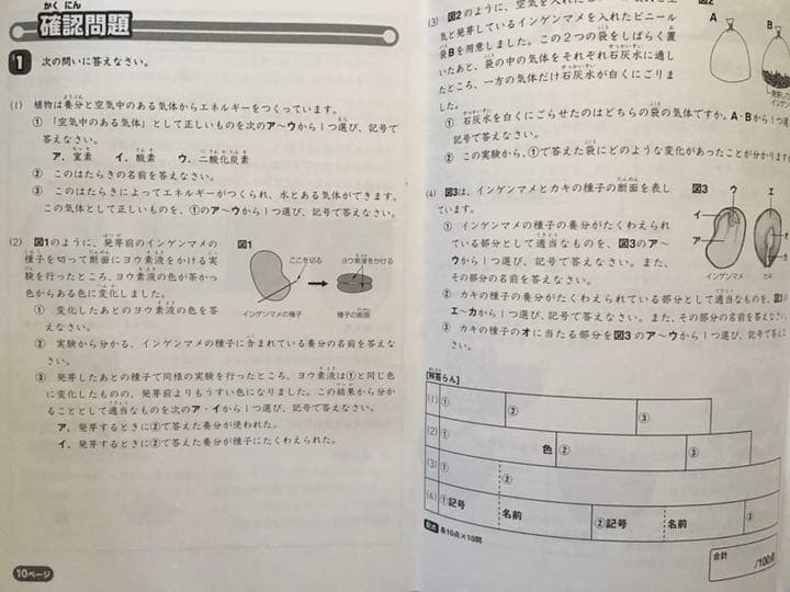 2019年度　　サピックス　小学4年　理科