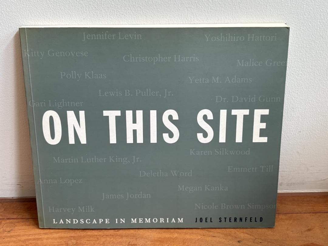 アート・デザイン・音楽 On This Site Joel Sternfeld