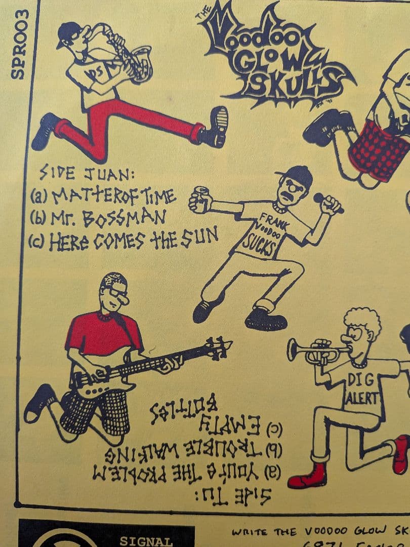Voodoo Glow Skulls/ Who Is, This Is?レコード