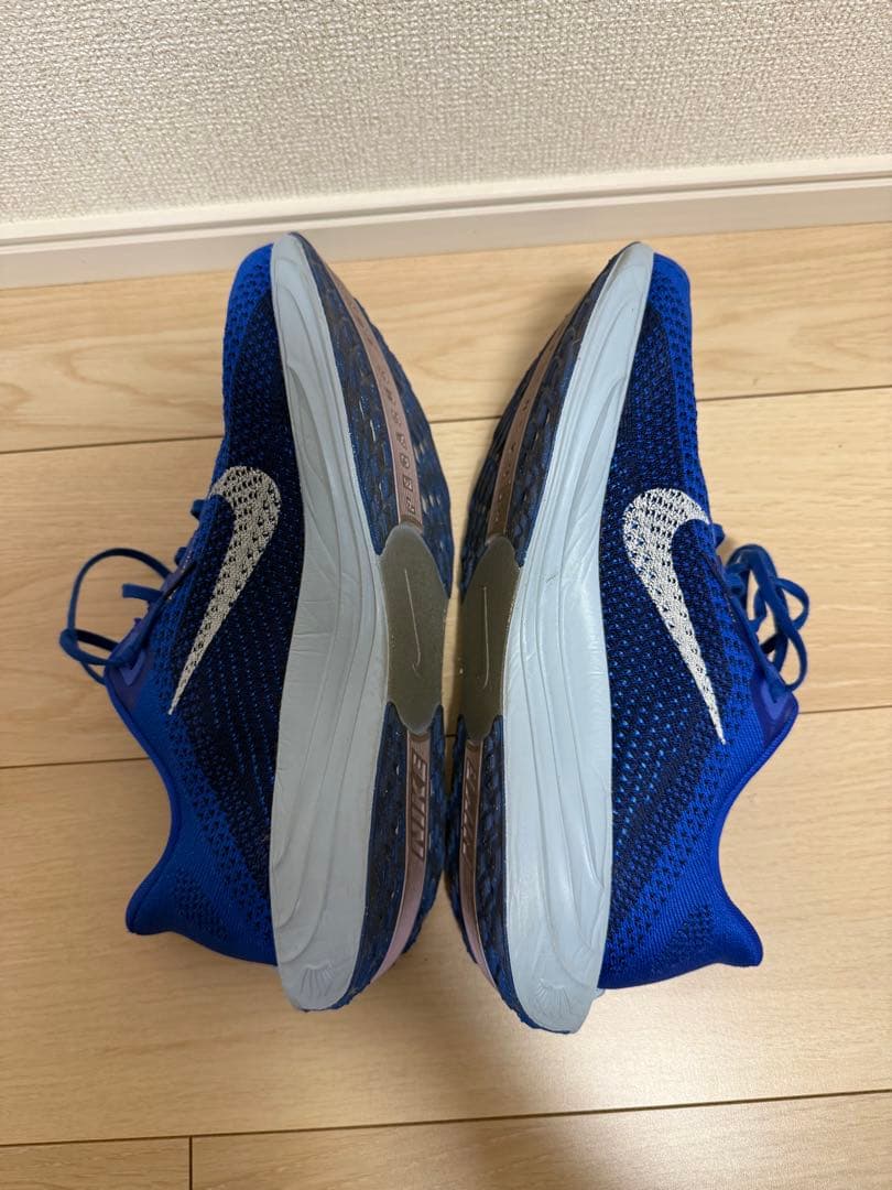 NIKE ペガサスプラス 27cm