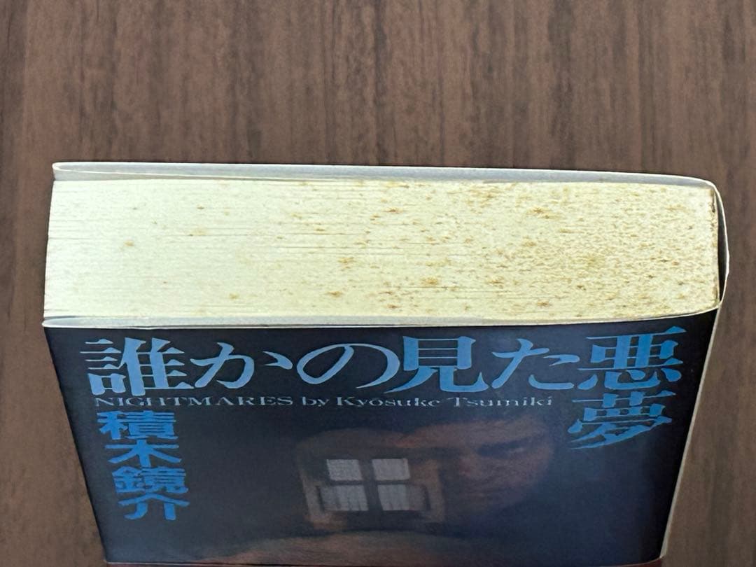 『誰かの見た悪夢』 積木鏡介