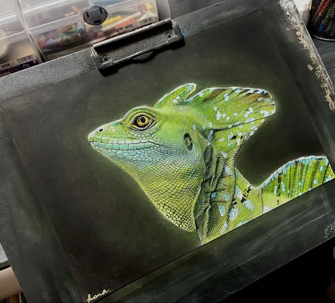 グリーンバシリスク　色鉛筆画