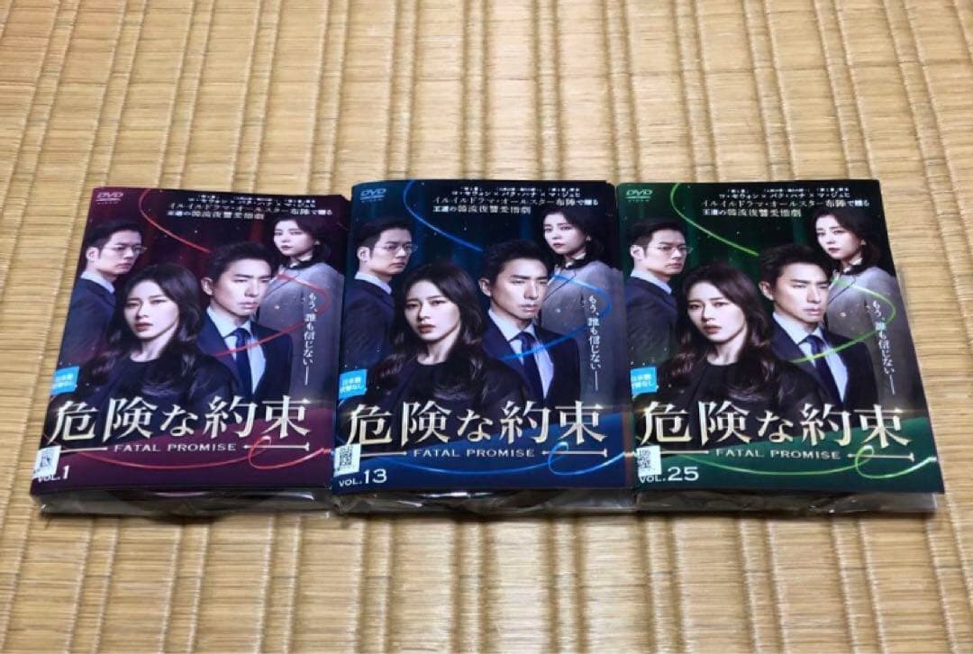 DVD 危険な約束 コ・セウォン パク・ハナ 韓国ドラマ