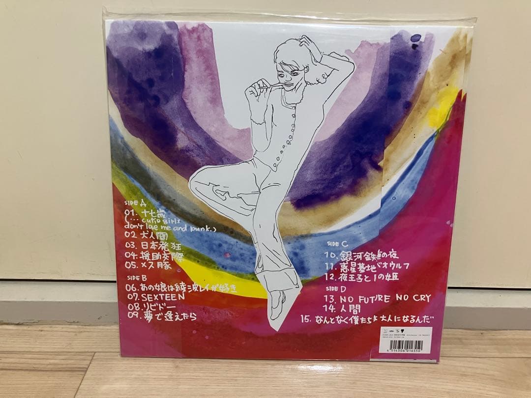 銀杏BOYZ 峯田和伸 DOOR レコード
