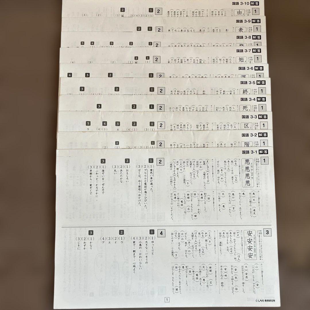 3年生　しちだ式小学生プリント　 思考力国語、算数　全10冊セット
